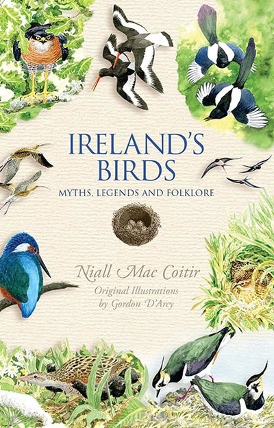 Ireland's Birds b format.indd