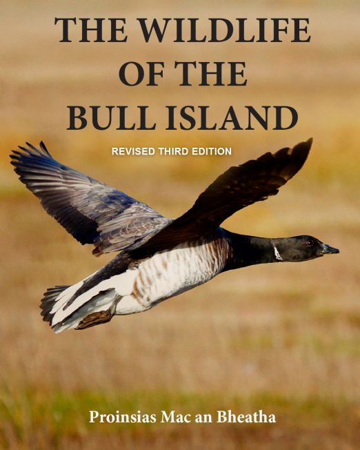 wildlife-of-the-bull-island-frontcover-third