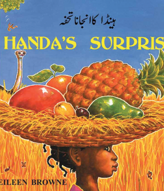 Handa27s_Suprise_-_Urdu_Cover_0.png